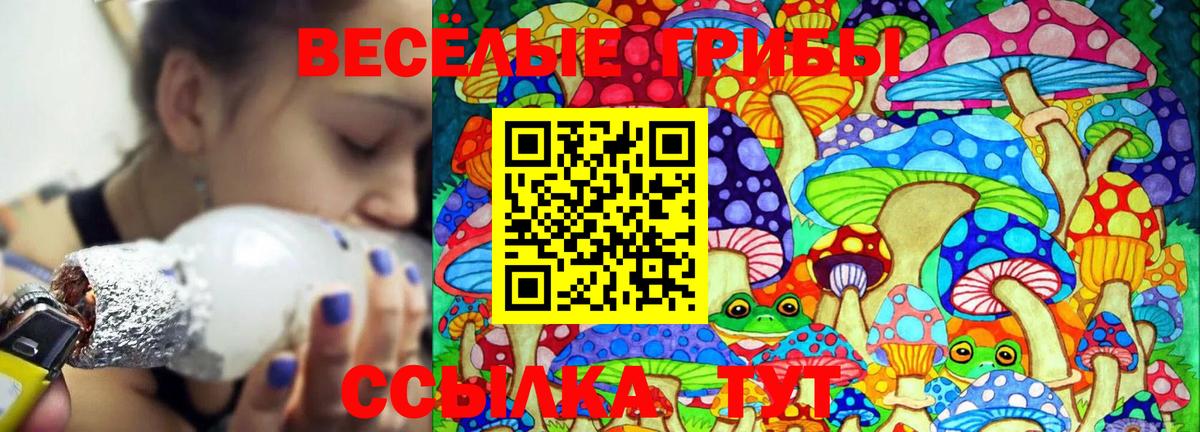 Галлюциногенные грибы Psilocybe  Псилоцибиновые грибы мухоморы  Светлоград  Вход с VPN 