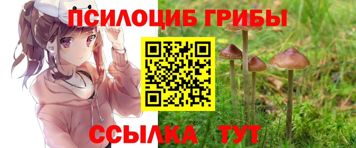 Галлюциногенные грибы мухоморы Светлоград